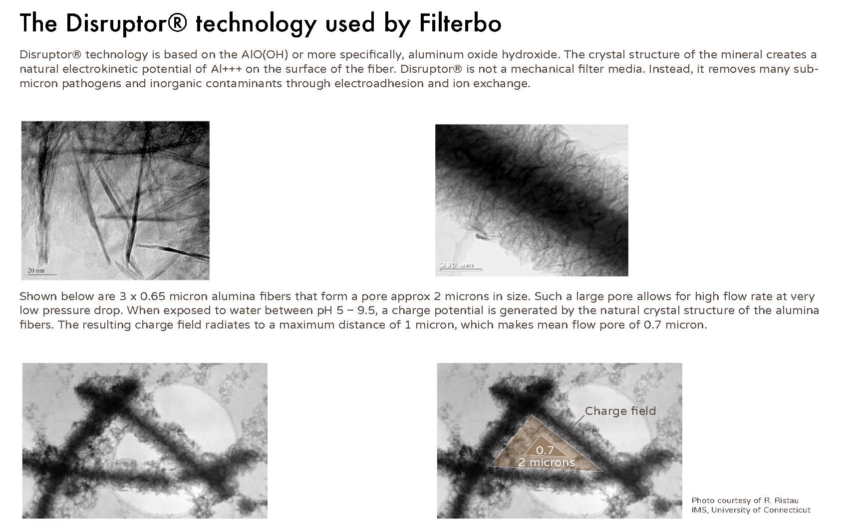 WOHO Filterbo bidon cu filtru 700ml alb infuzor fructe