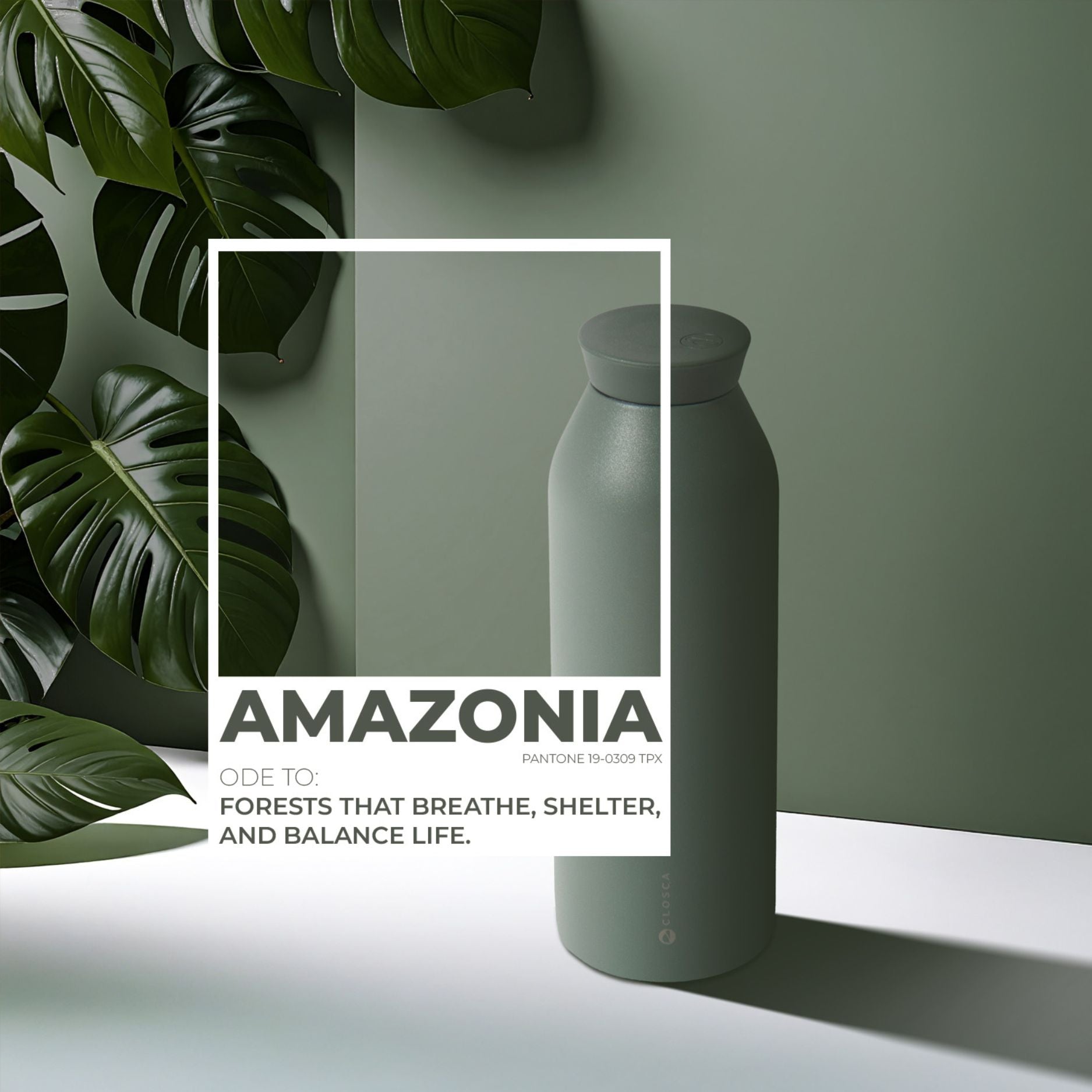 Closca Minimal Amazonia sticla termica 450ml